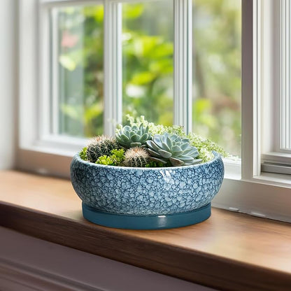 Ceramic Bonsai Pots - 8 Inch Succulent Planters Indoor Outdoor, Bonsai Planters with Drainage Hole and Saucer, Shallow Planter, Round Planter Bowl, Home Decor, Gifts for Plant Lovers, Blue
