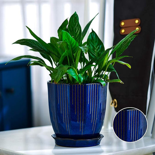 ADN Ceramic Flower Pots Indoor with Saucer - 6 Inch Plant Pot, Hand Glazed Ceramic Planter for All House Plants with Drainage Hole and Tray, Navy