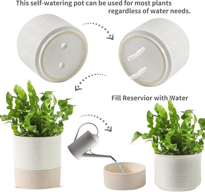 Nihow Self Watering Plant Pot for Indoor Plants: 4.5+6 Inch Ceramic Planter with Drainage Hole & Water Storage Plus - Cylinder Flower Pot with Wick for Herbs -White & Brown