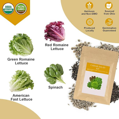 Caesar Salad Seed Pod Kit for AeroGarden, idoo, Ahopegarden, MUFGA with Green Romaine Lettuce, Red Romaine Lettuce, Spinach, and American Fast Lettuce - Compatible with All Garden(7-Pod)