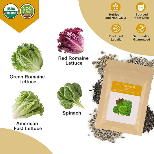 Caesar Salad Seed Pod Kit for AeroGarden, idoo, Ahopegarden, MUFGA with Green Romaine Lettuce, Red Romaine Lettuce, Spinach, and American Fast Lettuce - Compatible with All Garden(7-Pod)