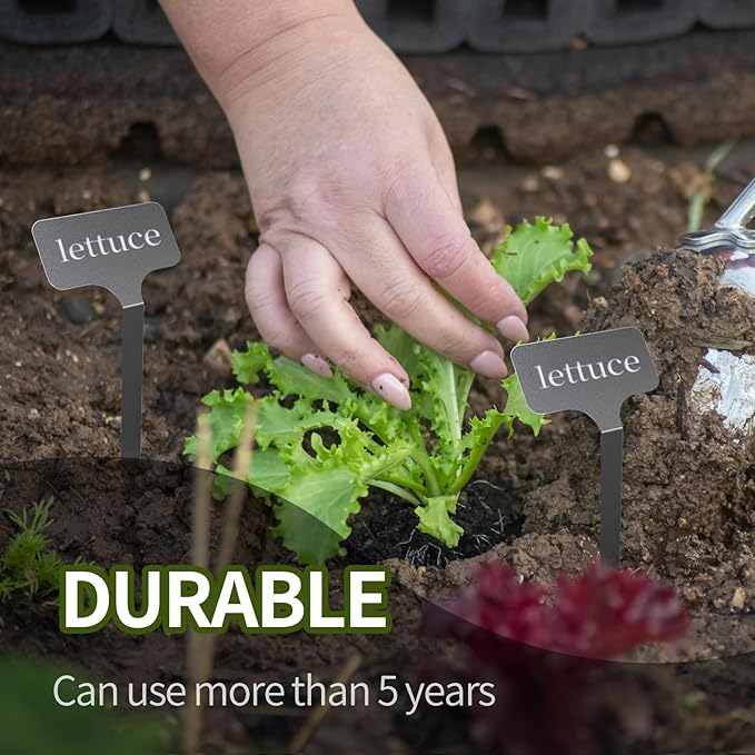 Stainless Steel Plant Labels,Metal Waterproof Plant Markers, Height 12.75 in, Label Area 2.5 in*1.25 in resuable Nursery Tags for Vegetables herb Flower Seed Green House 10-Pack