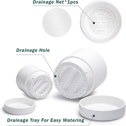 Phoenix Vine 6 Inch and 8 Inch Planter Pot with Drainage Hole & Deep Water Catch Tray Saucer, Straight Cylindrical Round Pot for Plants, Matte White, 23-A-1-Y