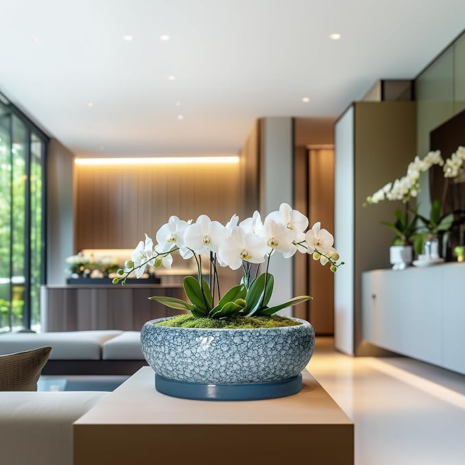 Large Succulent Planters - 13 Inch Ceramic Bonsai Pots with Drainage Hole and Saucer, Shallow Plant Pots Indoor Outdoor, Large Planter Bowl, Round Planter, Garden Decor, Gardening Gift, Blue