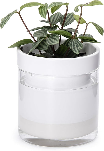 Phoenix Vine 4 Inch Self Watering Planter, White Terracotta Clay Pot with Glass Reservoir for Indoor Plants, Herbs, Flowers, Set of 1, 52-B-E-1
