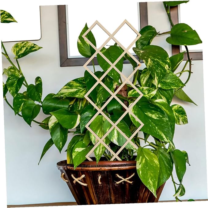 Generic Wooden Indoor Plant Trellis with Honeycomb Pattern DIY Climbing Support Frame for Vines Orchids Tomatoes Sturdy Garden Support for Potted Plants and Indoor Gardening