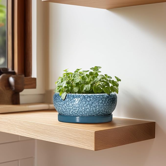 Succulent Pots 6 Inch - Ceramic Bonsai Pots with Drainage Hole and Saucer, Shallow Planters for Indoor Outdoor, Small Bonsai Pot, Round Planter Bowl, Porch Room Decor, Plant Lover Gift, Blue