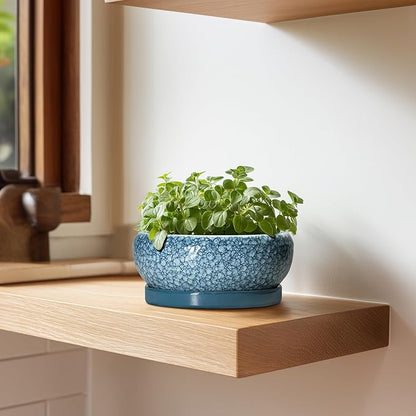 Succulent Pots 6 Inch - Ceramic Bonsai Pots with Drainage Hole and Saucer, Shallow Planters for Indoor Outdoor, Small Bonsai Pot, Round Planter Bowl, Porch Room Decor, Plant Lover Gift, Blue