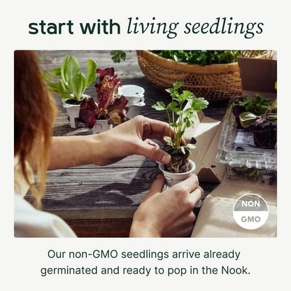 New! Lettuce Grow Farmstand Nook | 20 Plant Hydroponic System | Self-Watering Indoor Vertical Garden Planter Tower w/Pump, BPA-Free Food Grade | 4ft 7in | Made in USA…