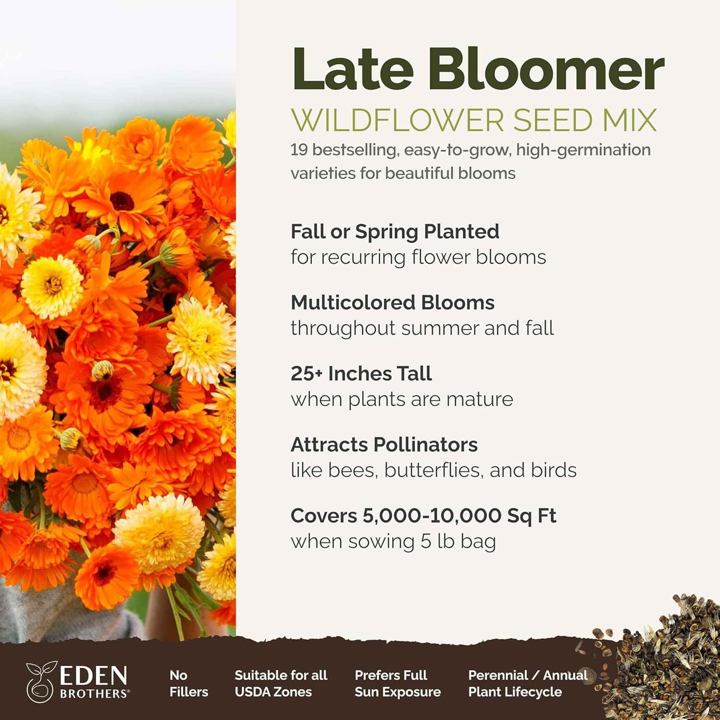 Eden Brothers Late Bloomer Wildflower Mixed Seeds for Planting, 5 lb, 2,400,000+ Seeds with White Yarrow, Snapdragon | Attracts Pollinators, Plant in Spring or Fall, Zones 3, 4, 5, 6, 7, 8, 9, 10