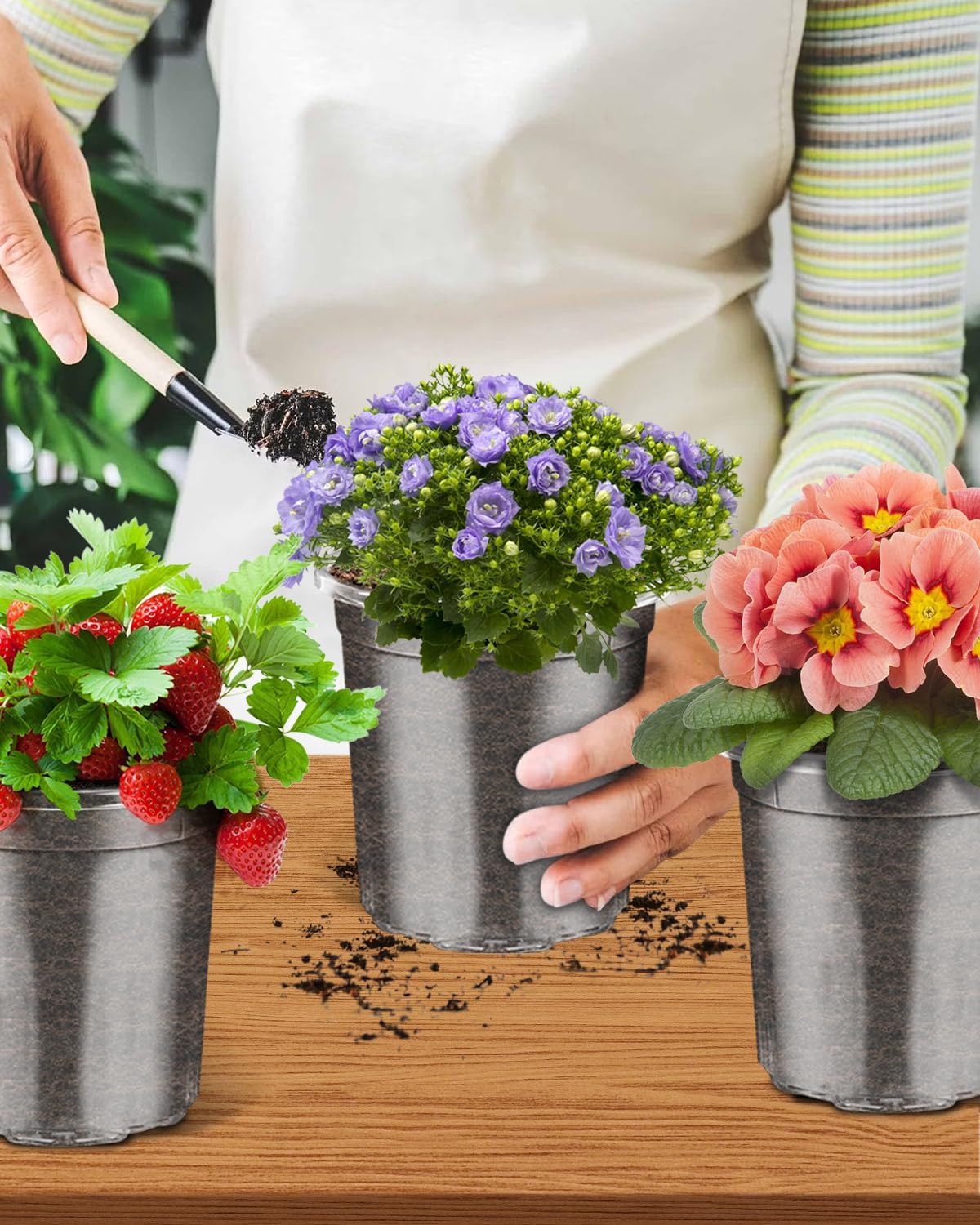 PACETAP 30Pack 5 Inch Reinforced Clear Nursery Pots with Drainage Holes, Variety Pack Plastic Plant Pots with 20 Plant Labels for Indoor Outdoor Flower Seed Starter