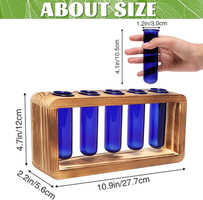 Glass Plant Propagation Station with 5 Test Tubes Colorful Planter Vase Birthday Gifts for Women in Wooden Stand