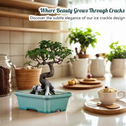 FFPOPU 3-Packs Ceramic Bonsai Pots with Drainage Tray, 6-inch Cute Bonsai Tree Pot with Ice Cracked Glaze, Small Bonsai Planter Pot for Desktop Decoration