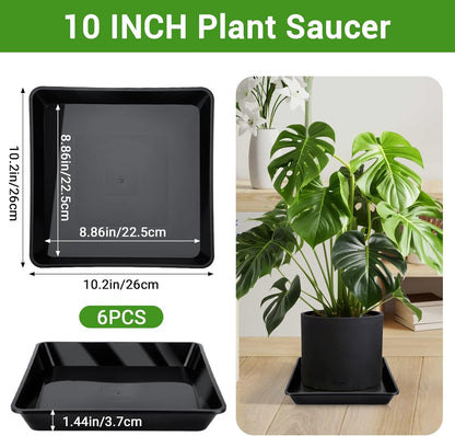 GREANER 6 Packs Square Plant Saucer, Plant Water Dray Tray, Durable Thick Plant Pot Dish for Flower Pot, Plastic Plant Tray to Catch Water for Indoor Outdoor(10 Inch, Black)