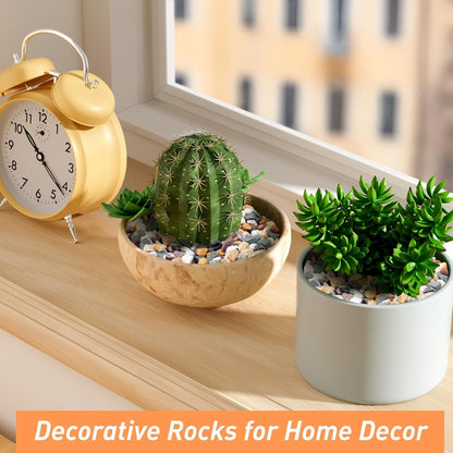 10 lbs Pea Gravel for Plants, Aquarium, Fish Tank, 3/8 inch Decorative Pebbles for Indoor Plants, Succulent, Bamboo, Vase, Drainage Rocks for Potted Plants, Top Dressing, Mixed Color