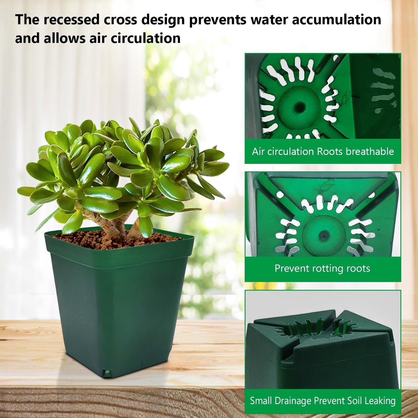 Square Nursery Succulent Pots 4 Inches 60 Pcs Deep Flower Plant Nursery Seedling Grow Pots Plastic with Drainage (Green, 4Inches, 60Pcs)