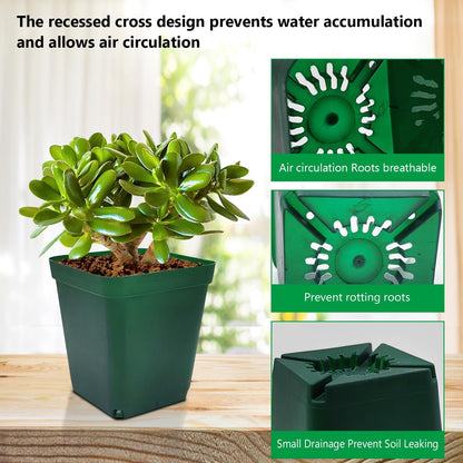 Square Nursery Pots Clearance (2.7", 3", 3.5", 4") with Drainage Holes 20 Pcs, Plastic Seed Starting Pots, Sturdy and Durable Seedling Pots for Planting, Cuttings and Transplanting, Green