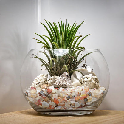 Halatool 2.2LB Crystal Pebbles 0.27"- 0.79" Natural Landscaping Pebbles Aquarium Gravel Decorative Polished Stone Suitable for Plants Home Decoration DIY Handmade Fish Tanks Vase Filler