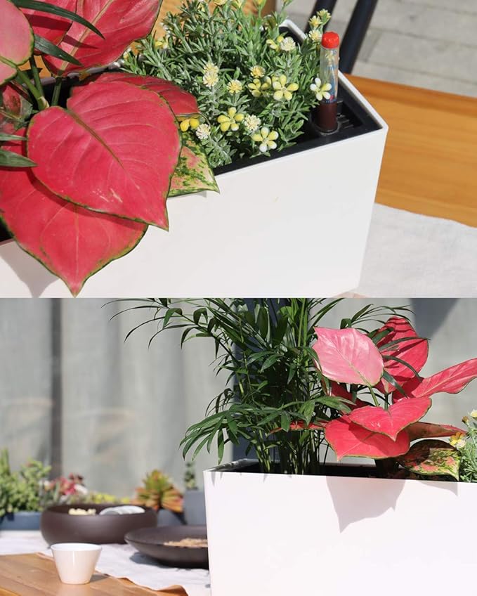 SAROSORA 14" Rectangle Self Watering Planter with Water Level Indicators for Plants & Flower Home Garden Outdoor Indoor Succulent | Herb pots | Window Box (1, White)