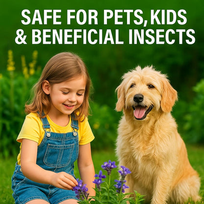 Organic Liquid Humic Acid,32 fl oz Concentrate