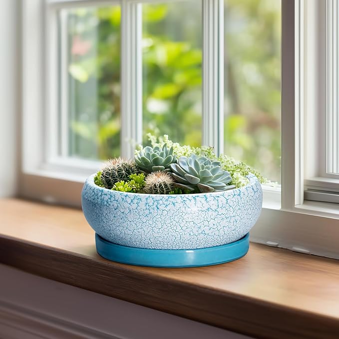 Succulent Pots 8 Inch - Ceramic Bonsai Pots with Drainage Hole and Saucer, Succulent Planters for Indoor Plants Outdoor, Round Shallow Planter Bowl, Porch Decor, Gardening Gifts, Blue