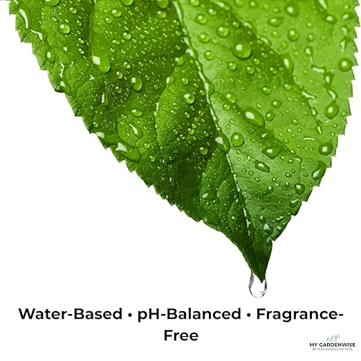 Leaf Shine Spray for Indoor Plants – Plant Leaf Cleaner & Shine for Real House Plants – Fragrance-Free, Non-Sticky, Streak-Free Finish, 8 fl oz