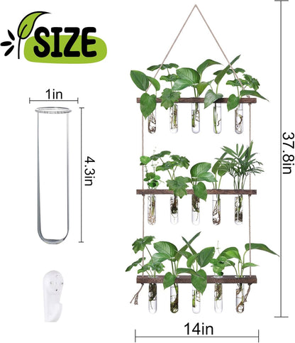 XXXFLOWER Wall Hanging Propagation Station with Wooden Stand 5 Glass Test Tubes 3 Tiered Planters Wall Terrarium for Home Office Plant Hanger Flower Vases Wall Decor Hydroponic Cuttings