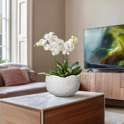 10 Inch Plant Pot - Ceramic Planter for Indoor Outdoor, Round Bonsai Pots, Decorative Flower Pots with Drainage Hole, Modern Unique Planters, House Decor, Home Gifts, White