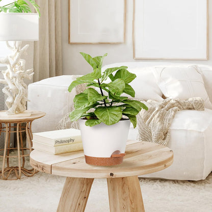 Plant Pots Outdoor Self Watering Pots, Flower Pots with Drainage Hole and Reservoir White Plastic Planters for Indoor Plants Home Decorations Gift Idea 5Pack