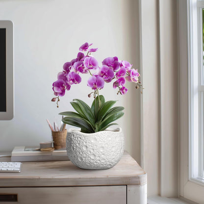 Ceramic Plant Pot - 8 Inch Round Planter with Drainage Hole, Decorative Plant Pots for Indoor Outdoor Plants, Modern Unique Flower Pots, House Living Room Decor, Housewarming Gifts, White