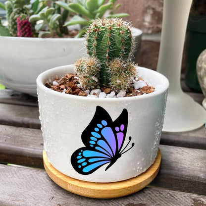 Window Garden Butterfly Planter Pots,Butterfly Gifts for Women/Men/Housewarming/Wedding/Festival Birthday Gifts Planter Pots,Outdoors/Indoors,Window Decor,Garden Decor,Yard Decor,Home Decor,Office