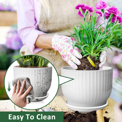 8 Inch Plant Pot,Ceramic Planter with Drainage and Saucer,Ceramic Pots for Plants,Indoor Plant pots,Ceramic Flower pots(Pure White, Plants NOT Included)