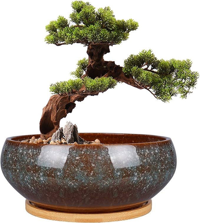 8 Inch Ceramic Bonsai Planter Pot, Glazed Shallow Succulent Planter with Drainage Hole and Bamboo Saucer for Indoor Plants, Green