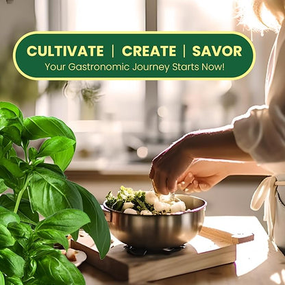 Herb Seeds 15-Pack – 4,500+ Non-GMO Heirloom Seeds for Planting – Indoor & Outdoor Herb Garden Kit with Basil, Cilantro, Rosemary, Thyme, Dill, Sage – Medicinal & Culinary Herb Seeds Variety Pack