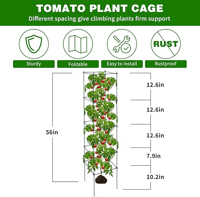 6 Packs Tomato Cages for Garden, 12"×12"×56" Plant Support Cage with Different Spacing, Green Metal Trellis for Climbing Plants Like Cucumber, Flowers