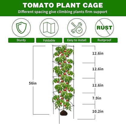 6 Packs Tomato Cages for Garden, 12"×12"×56" Plant Support Cage with Different Spacing, Green Metal Trellis for Climbing Plants Like Cucumber, Flowers