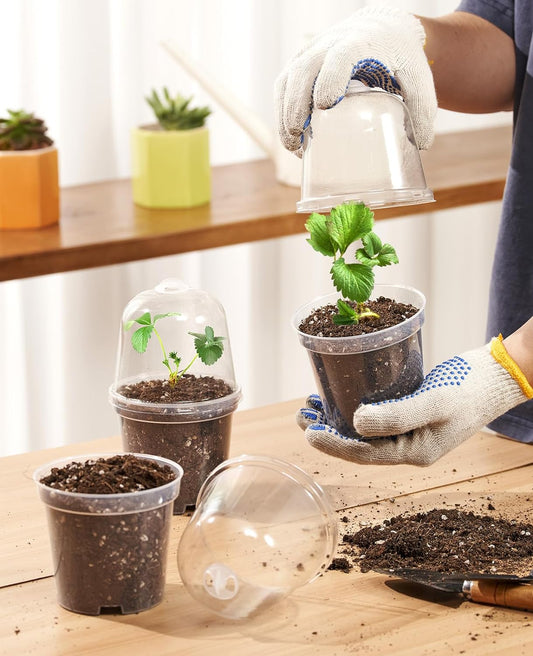 homenote Clear Nursery Pots for Plants,3 Inch Plant Pot for Planting with Humidity Domes Plastic Seedling with Drainage Holes Seed Starter Flower High Transparency (30 Pack)