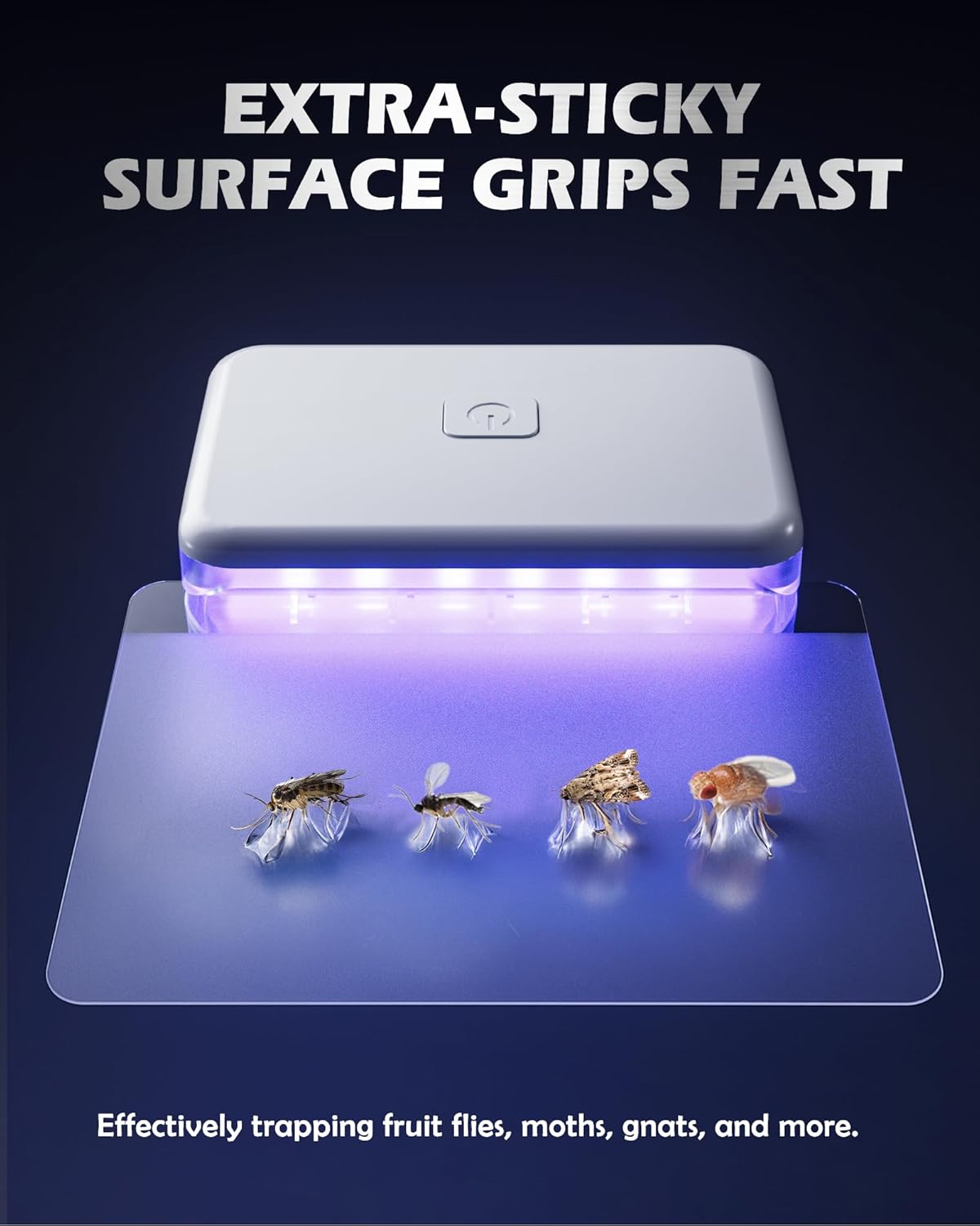 2 Pcs Fruit Fly Traps for Indoors (2 Device+10 Refills) Plug in UV Light Fly Trap for Gnats, Fruit Flies, Flying Insects Sleek Design Indoor Safe