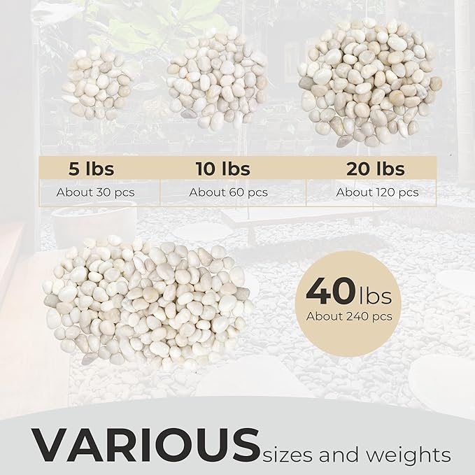 20lbs Large River Rocks, White Pebbles for Plants 2-3 Inch, High Polished Natural Decorative Stones for Aquarium Vase Filler Fish Tank Landscaping Garden