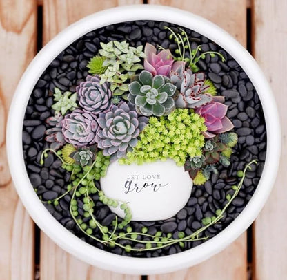 2.2LB Black Pebbles for Indoor Plants, Vases, Succulent, 3/8 Inch Small Black Rocks for Plants, Polished & Decorative