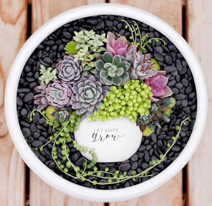 5LB Black Pebbles for Indoor Plants, Vases, Succulent, 3/8 Inch Small Black Rocks for Plants, Polished & Decorative