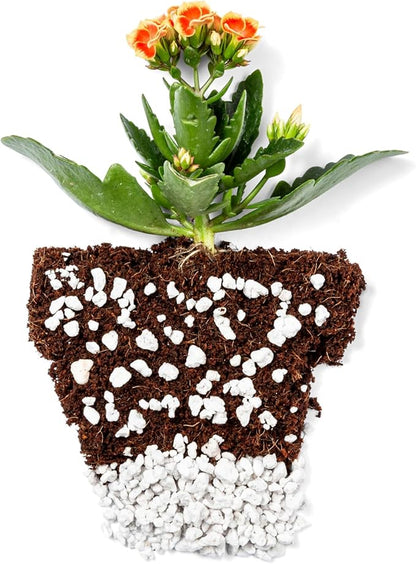 Perlite Bliss (16 Qts) - Organic Perlite for Plants - Coarse Perlite Bulk Soil Amendment - Chunky Perlite for Plants, Potting Soil, Garden Soil, & Coco Coir - Horticultural Perlite for Gardening
