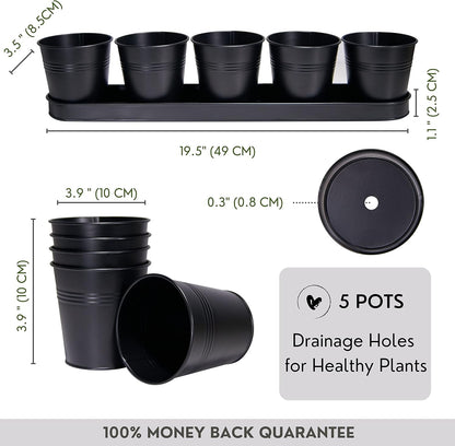 SCANDINORDICA Black Herb Planter – 5 Pots with Drainage Holes and Tray, Windowsill Planter, Herb Pots for Indoor Outdoor Plants | Kitchen & Garden Decor