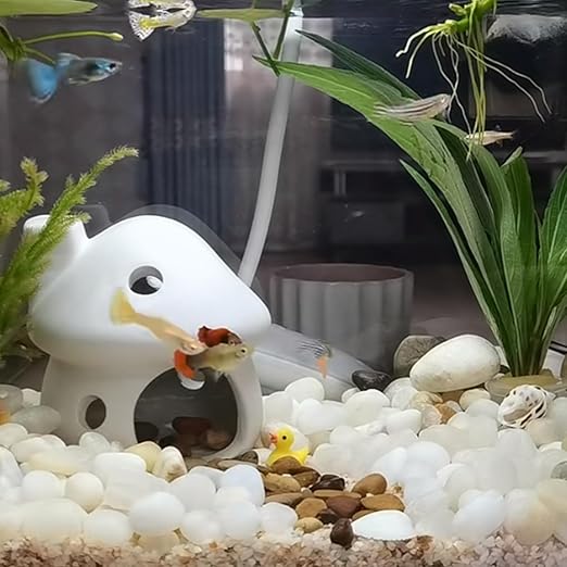 40LB White River Rocks for Landscaping,1-2.2 Inch Polished Pebbles for Plants, Decorative Stones for Landscaping. Succulents, Crafting,Fish Tank,Garden,Vase Filler, Outdoor Decoration