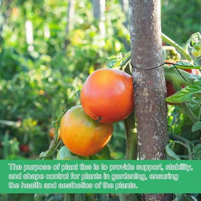 328 Feet Plant Twist Tie Plastic Coated Soft Garden Metal Wire 1mm Thin for Tomato Plants, Climbing Roses and Vines Organizing (Black)