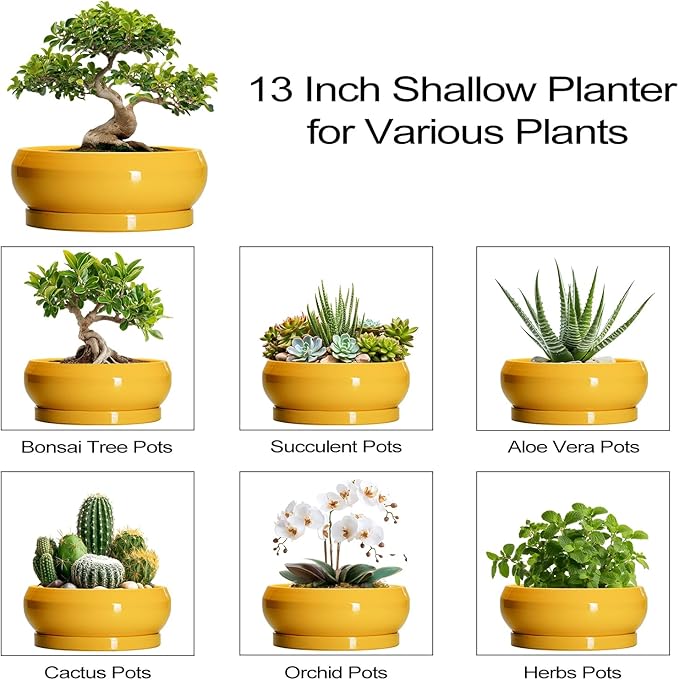 Ceramic Bonsai Pots - 13 Inch Large Succulent Pots with Drainage Hole and Saucer, Bonsai Planter for Indoor Outdoor, Round Shallow Bowl Planter, Garden House Decor, Plant Lover Gifts, Yellow