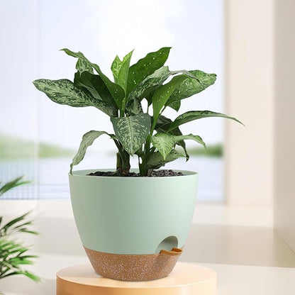 12 inch Large Self Watering Pots, Plant Pots with Mesh Drainage Holes for Indoor Outdoor Plants, Plastic Planters with Deep Reservoir for Garden House Flower Plants, Green with Brown