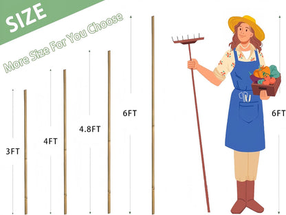 Plant Bamboo Post,6Feet,Bamboo Garden Stakes,50PcsBamboo Stakes,for Tomato,Beans,Vegetable and Flowers, Potted Plants,Indoor and Outdoor Climbing Plants