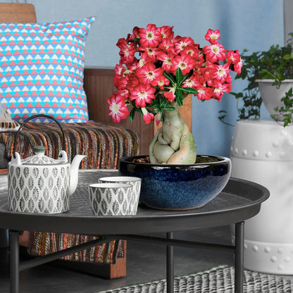 11 9 7 Inch Succulent Pot with Drainage and Mesh Pads Large Round Ceramic Plant Pot for Indoor Outdoor Plants Succulent Planter Cactus Bonsai Pot Container Set of 3 (Blue)