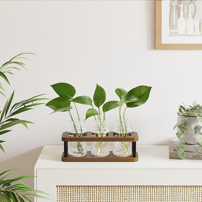 THYGIFTREE Plant Propagation Station with Wooden Stand, Propagation Vases Glass Planters for Indoor Plants Hydroponic Propagating Jars Home Office Decor, Brown